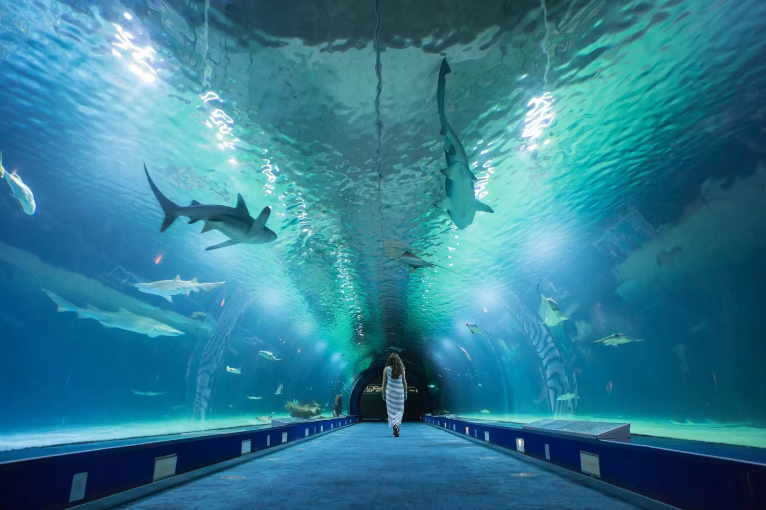 Oceanogràfic València